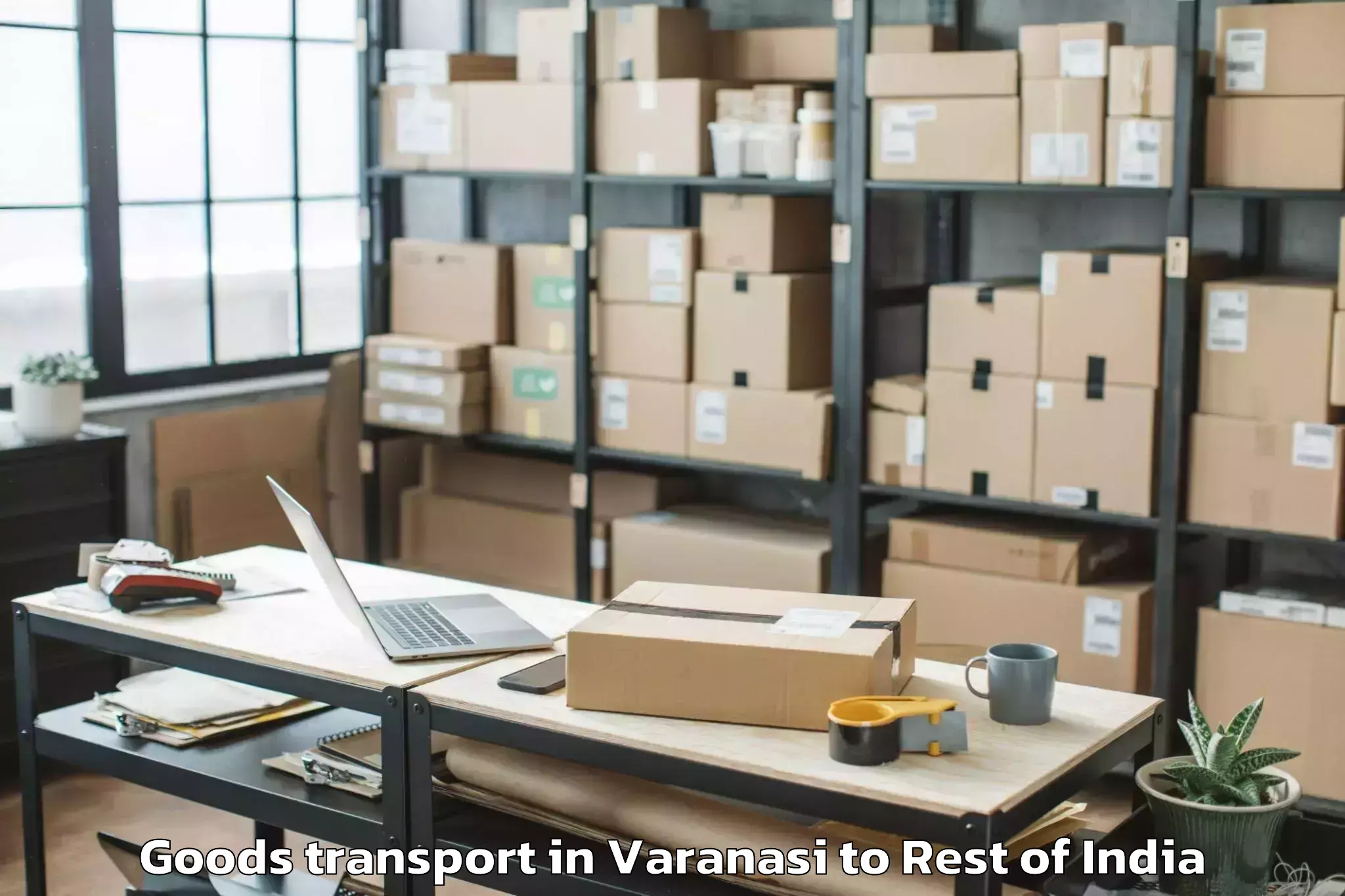 Top Varanasi to P N Pudur Goods Transport Available